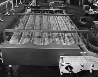 Slat Conveyor System 